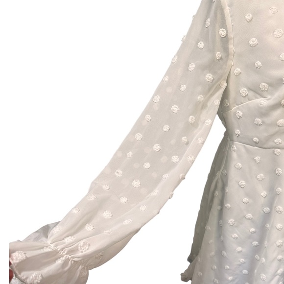 SBetro Swiss Dot Sheer Chiffon Skater Dress Size L - Picture 2 of 5